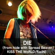 DIE（from hide with Spread Beaver/KISS THE WoRLD/Ra:IN）
